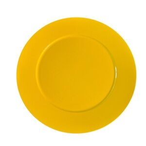 Arita Vibrant Yellow charger plate set